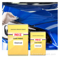Reiz Car Paint Match High Gloss 2K Car Automotive Paint Lacquer Auto Car Paint Clear Cot